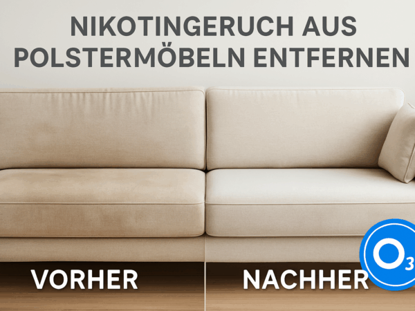 Nikotingeruch entfernen Sofa